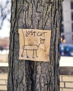 Strichzeichnung einer Katze als Suchplakatt einer vermissten Katze