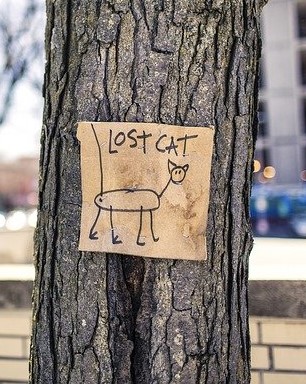 Strichzeichnung einer Katze als Suchplakatt einer vermissten Katze