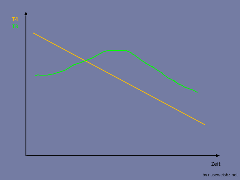 Schilddrüsenunterfunktion und T3 beim&nbsp;Hund