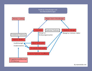 Zusammenhänge zwischen den verschiedenen Pankreas-Erkrankungen Diabtes, Pakreatitis, Cobalamin-Mangel