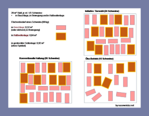 Visualisierung: Verfügbare Flächen im Schweinestall bei unterschiedlichen Haltungsmodi
