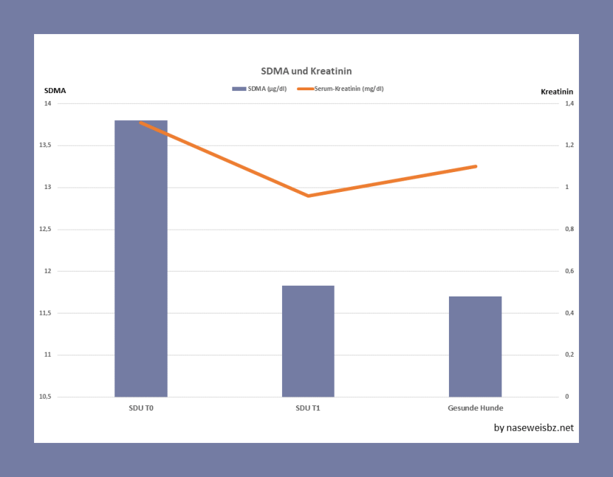 SDU und Niere: SDMA und&nbsp;Kreatinin