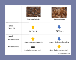 Grafik: Darstellung der unterschiedlichen Hormonwerte: Die Verarbeitung führt zu unterschiedlichen Hormonwerten in belastetem Futter und im Hund