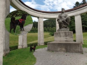 BdP bellt Statue an "Ob das den beeindruckt, wenn ich belle?"