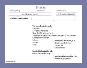 Grafik: Einteilung nach Kauspielzeug, Kauartikel, Leckerchen und nach pflanzlicher, tierischer und synthetischer Herkunft