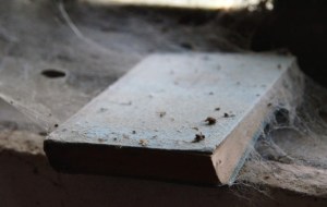 Altes mit Spinnenweben überzogenes Buch. Spinnenweben im Haus gelten als Zeichen für Unsauberkeit. Sie erfüllen aber auch hier ihre Funktion als Insektenfänger.