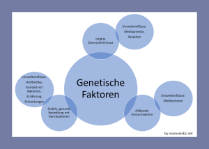 Grafik: Darstellung verschiedener Ursachen, die ineinandergreifen. Die CIE ist eine multifaktorielle Erkrankung, bei deren Entstehung mehrere Faktoren zusammen wirken.