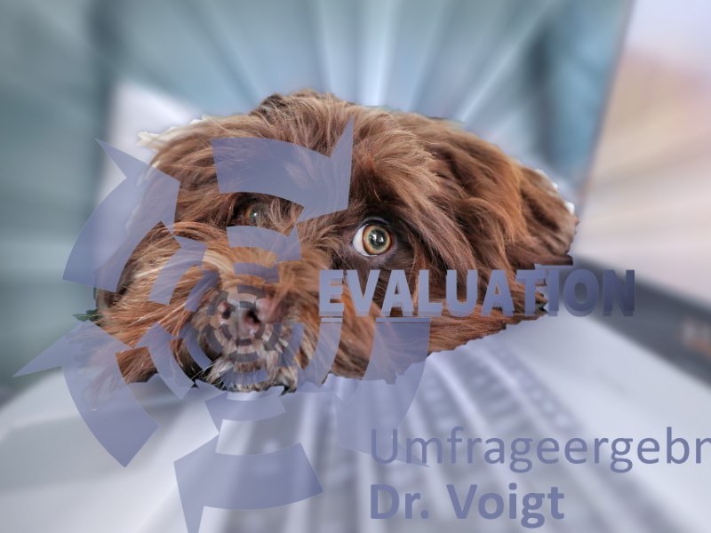 Umfrage: Dr. Katrin&nbsp;Voigt