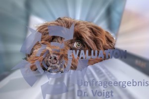 Hund mit Kopf auf PC Umfrageergebnis Dr. Zeugswetter
