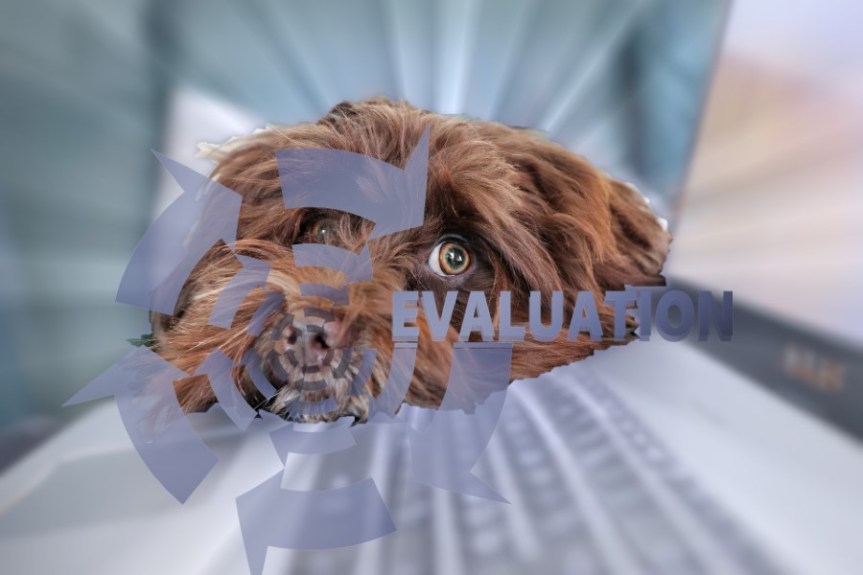 Umfrage SDU: Anamnese und&nbsp;Diagnose