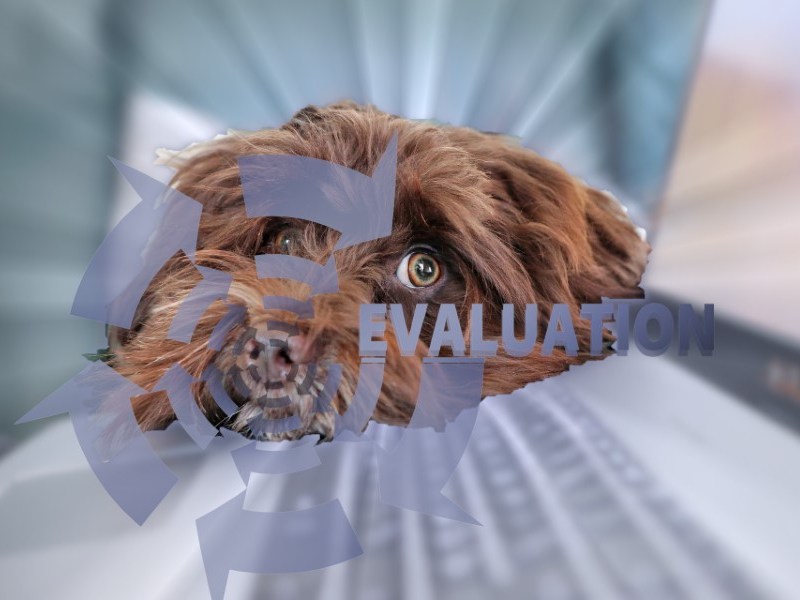 Umfrage SDU: Anamnese und&nbsp;Diagnose