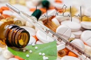 Bild mit Tabletten, homöopathischen Mitteln und nachgestellter EGK-Kurve. Tierarzt oder Tierheilpraktiker? Sanfte Medizin gegenüber Pharma-Produkten? So einfach ist die Unterscheidung leider nicht.