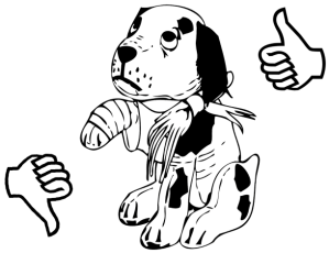 Bild mit Daumen hoch, Daumen runter und Grafik verletzter Hund. Egal, für welchen Behandler man sich entscheidet, sollte man einige Punkte berücksichtigen. Wichtig ist, dass das Wohl des Tieres im Vordergrund steht.