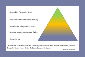 Grafik: Pyramide mit breiter Basis (Umweltreize, wie Texte, Filme) und schmaler Spitze (gelernte Informationen). Von den Umweltreizen (Informationen) wird nur ein geringer Teil bewusst wahrgenommen. Viele der wahrgenommenen Informationen werden als irrelevant sofort vergessen. Nach einer internen Informationsverarbeitung wird nur ein geringer Teil der Informationen als wesentlich behalten und gelernt.