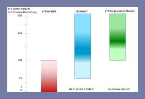 Balkengrafik der Werte Der rT3-Wert war bei gesunden Hunden und Hunden mit NTI höher, als bei Hunden mit SDU. Die meisten Hunde mit SDU hatten Werte unter 50 ng/ml, kein Wert lag innerhalb des Referenzbereiches. Tatsächliche Messwert-Überschneidungen zwischen Hunden mit NTI bzw. gesunden Hunden und Hunden mit SDU gab es nicht, sondern lediglich statistische Überschneidungen.